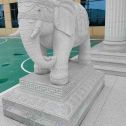 曲靖 白麻花岗岩动物异形石雕-大象