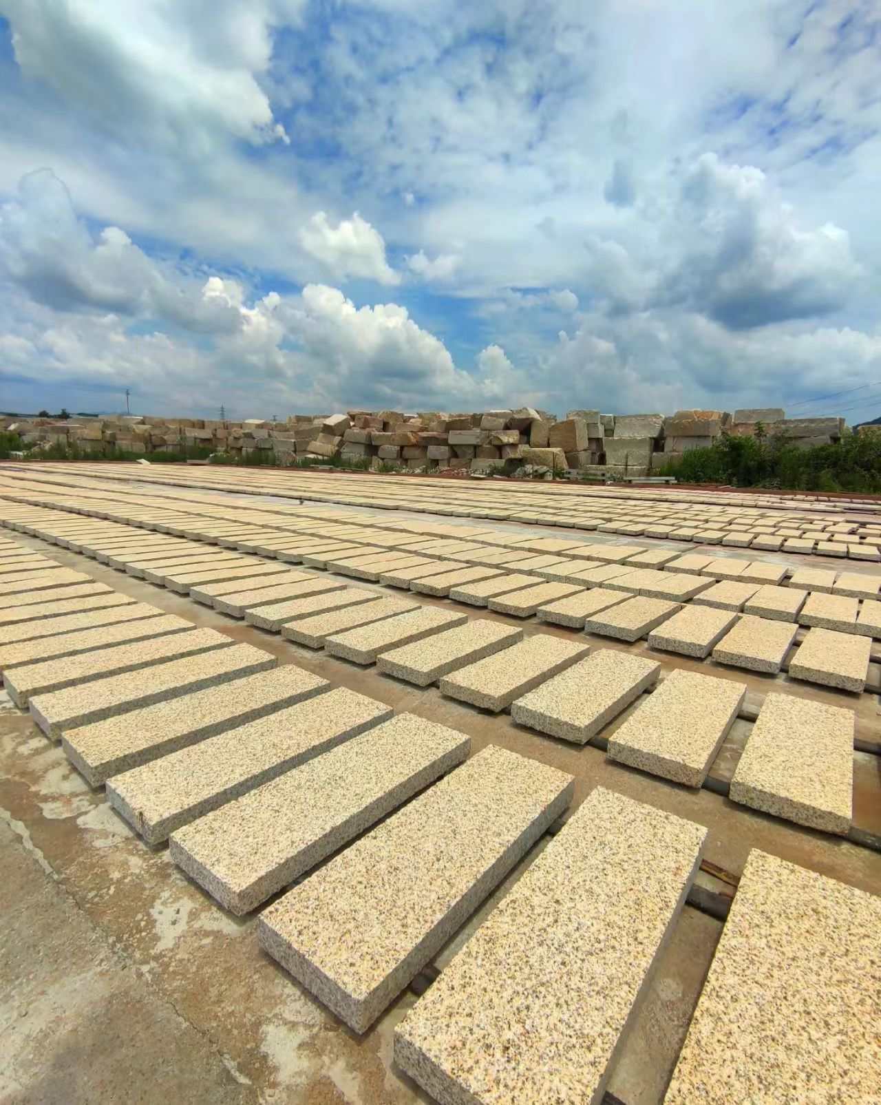 曲靖 黄金麻花岗岩荔枝面地铺石防护中